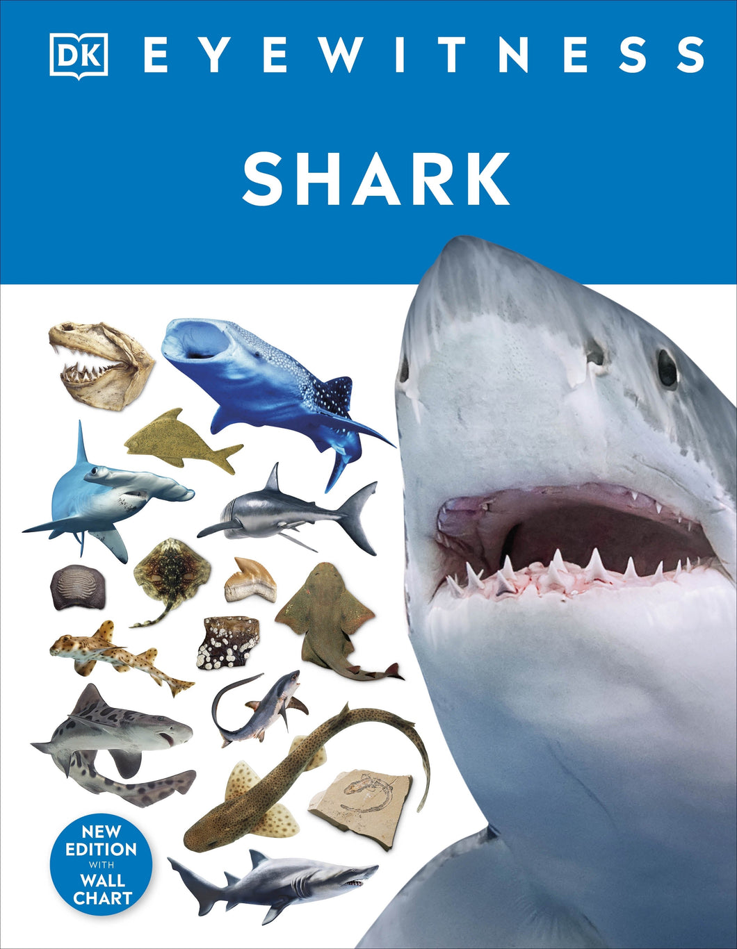 E/W Guide: Sharks - DK