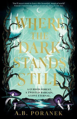 Where The Dark Stands Still - Ania Poranek