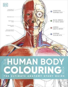 DK: Human Body Colouring Book - DK