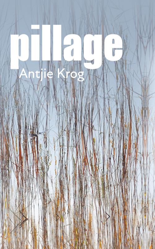 Pillage - Antjie Krog