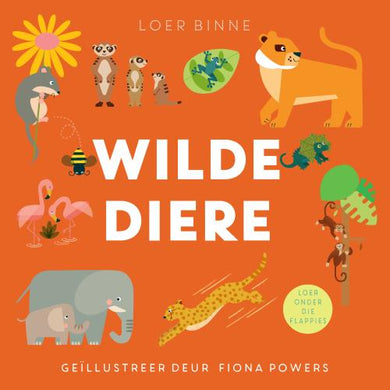 Loer Binne! Wilde Diere - Really Decent Books