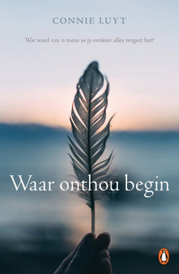 Waar Onthou Begin - Connie Luyt