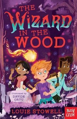 Wizard in the Wood The - Louie Stowell