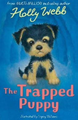 Animal Stories 56: The Trapped Puppy - Holly Webb