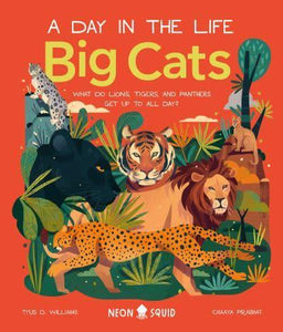 Day In The Life: Big Cats - Neon Squid