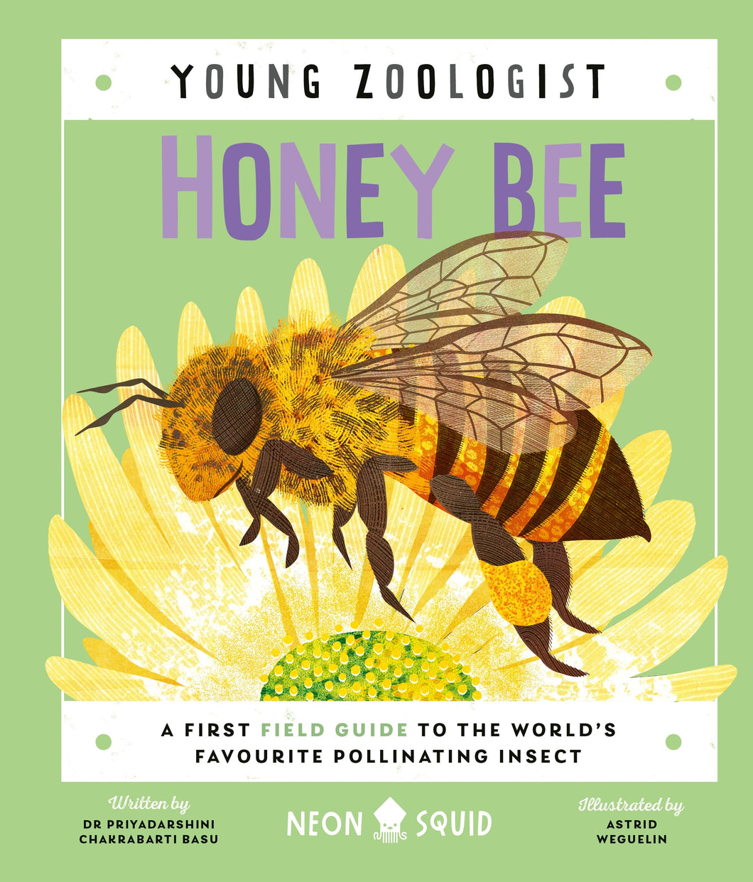 Young Zoologist: Honey Bee - Neon Squid