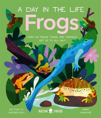 Day In The Life: Frogs - Neon Squid